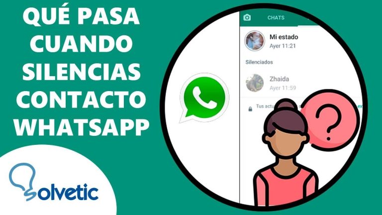 ¿Cómo afecta silenciar estados de WhatsApp a tus relaciones sociales?