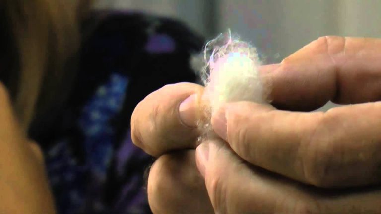 Descubre dónde se crían los gusanos de seda: una industria fascinante