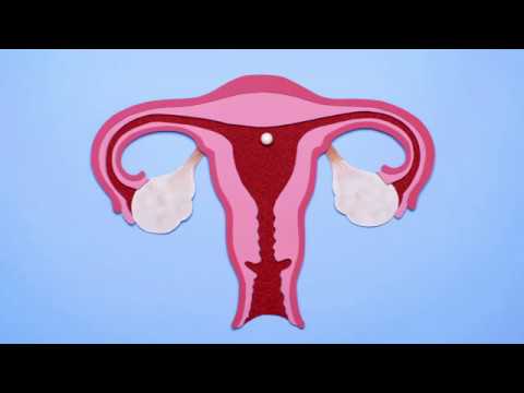 Combate la infertilidad: si donas óvulos, también puedes ser madre