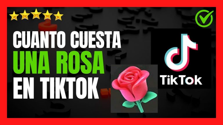 Descubre cuánto cuesta una rosa de TikTok en euros