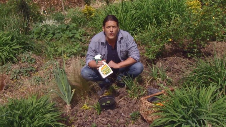 ¿Qué hacer después de aplicar herbicida en tu jardín?