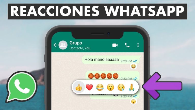 Aprende a reaccionar en WhatsApp: consejos para responder mensajes