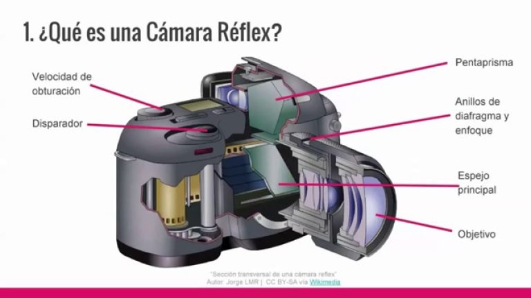 Descubre los secretos del funcionamiento de la parte reflex de tu cámara en solo 3 pasos