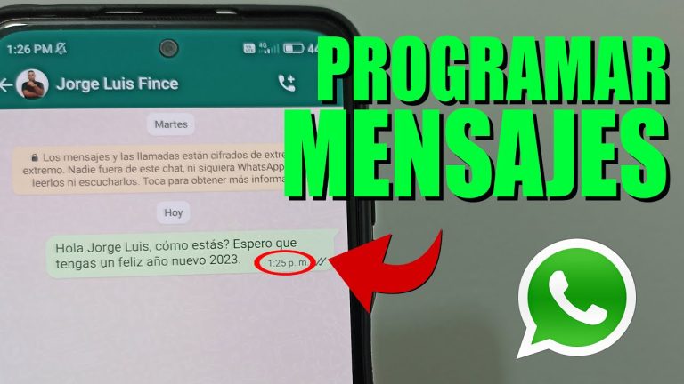 Programa WhatsApp: envía mensajes a hora específica