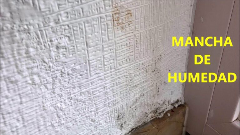 Descubre la sorprendente diferencia entre condensación y humedad en tu hogar